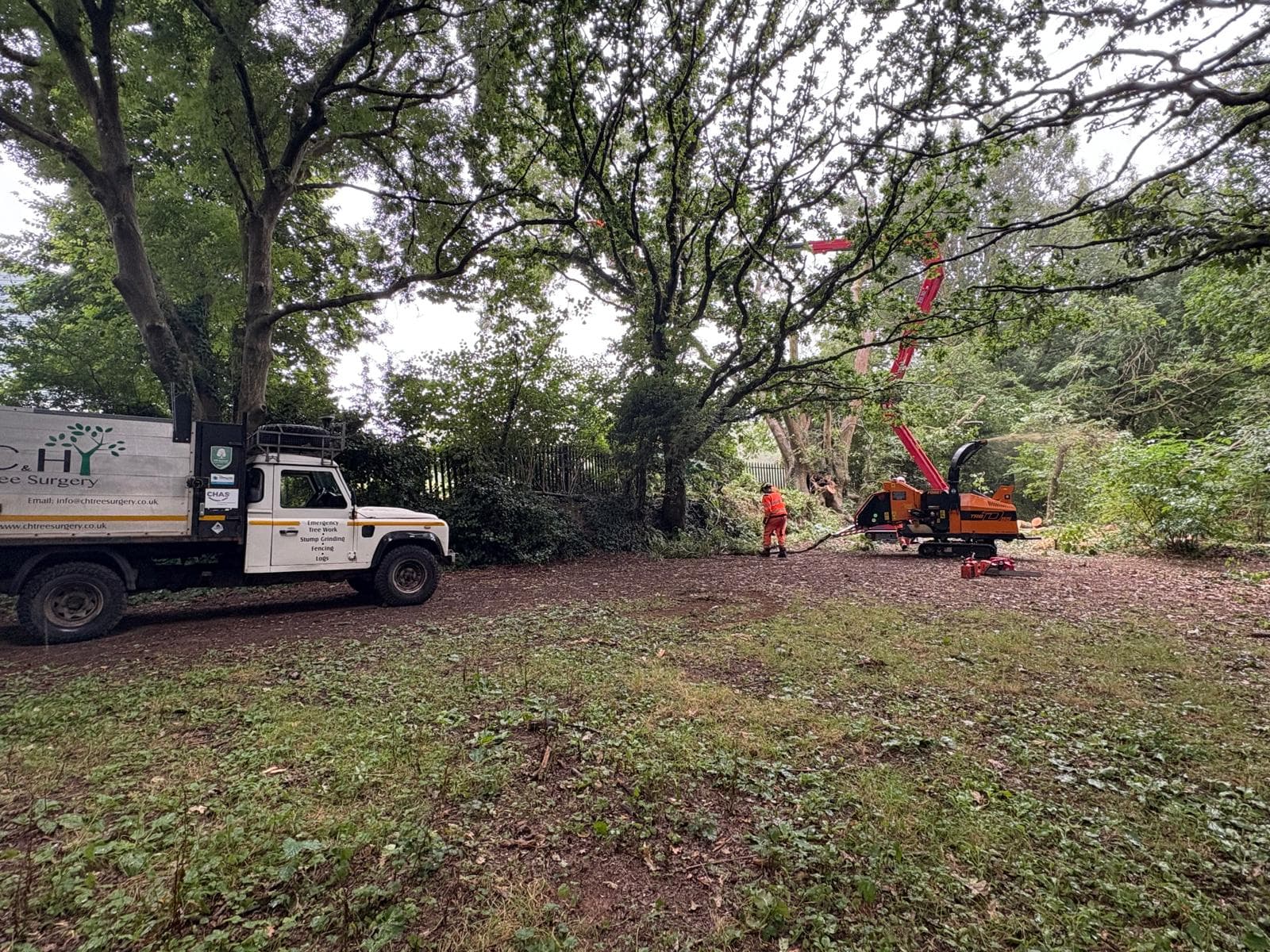 Tree Surgery Plymouth