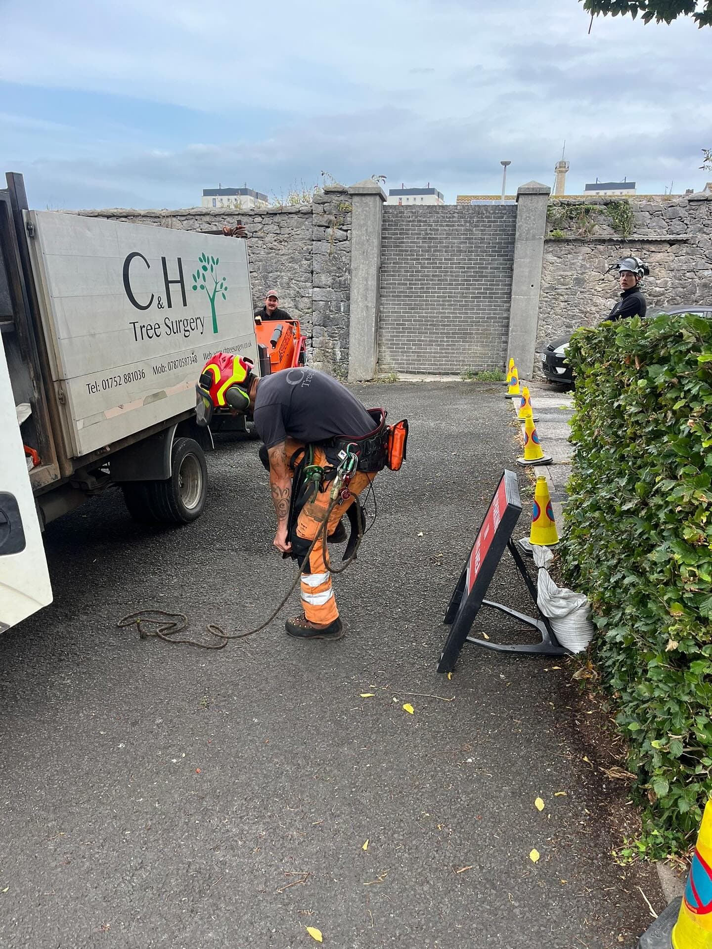 Tree Surgeons Compton