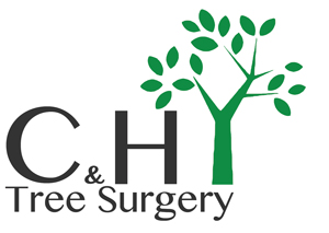C & H Tree Surgery