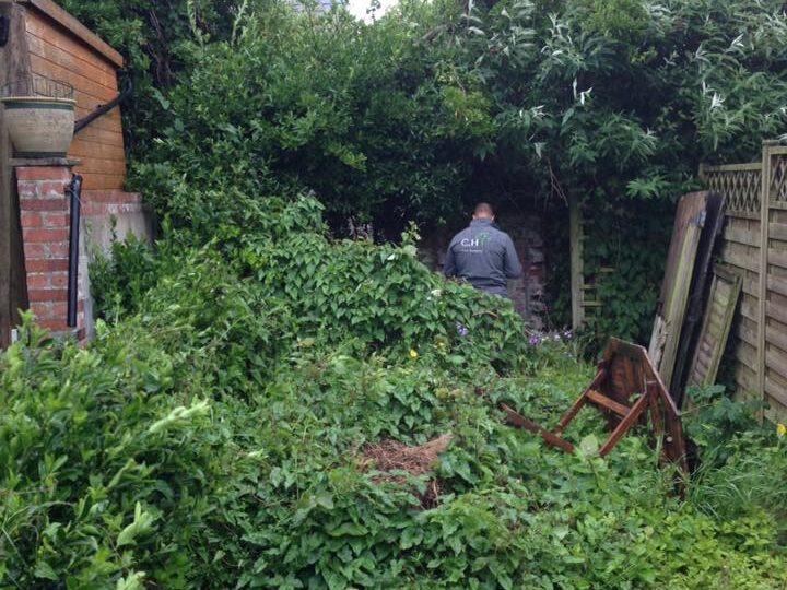 garden clearance Plymouth before professional site clearance