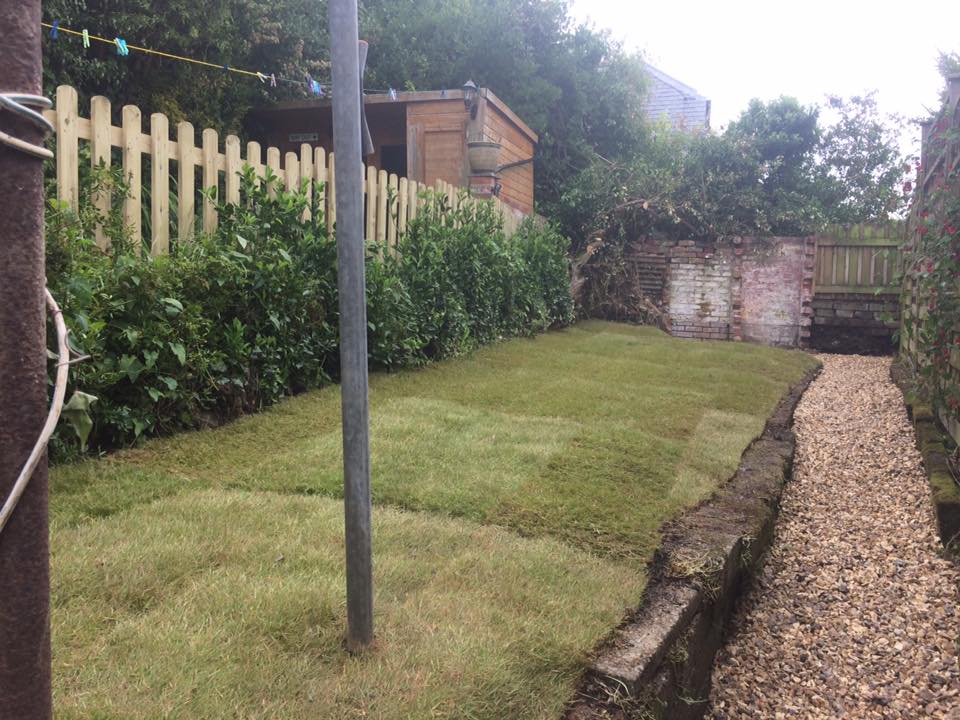 Plymouth Site Clearance, Cleared garden 