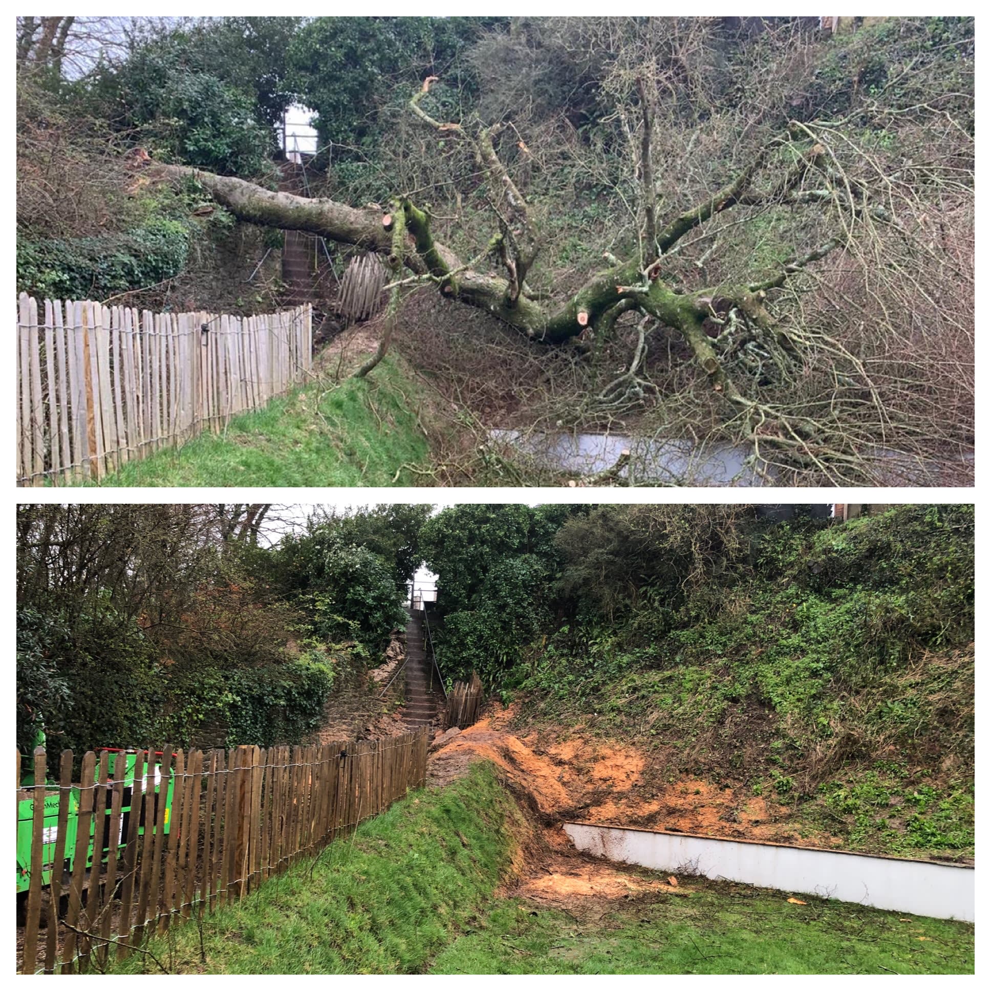 Fallen trees Plymouth Call Out