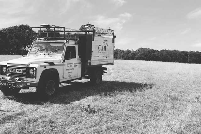 Trusted tree surgeon plymouth