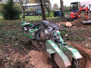 stump grinding ivybridge