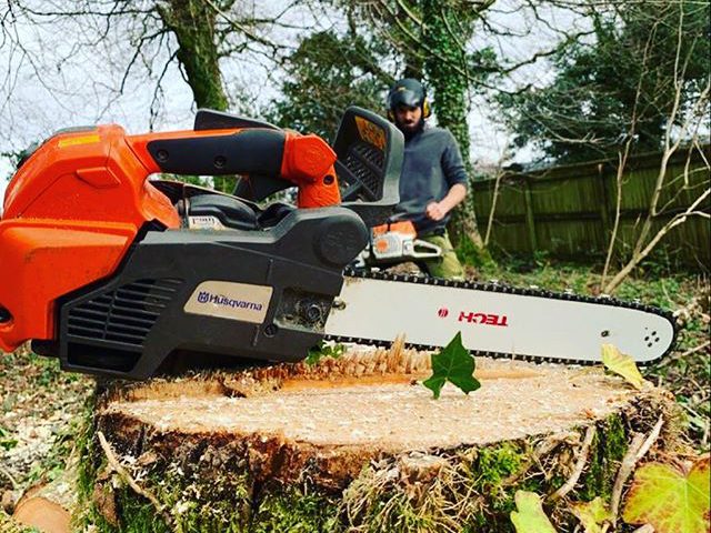 Tree Stump Grinding Plymouth & Tree Stump Removal Plymouth