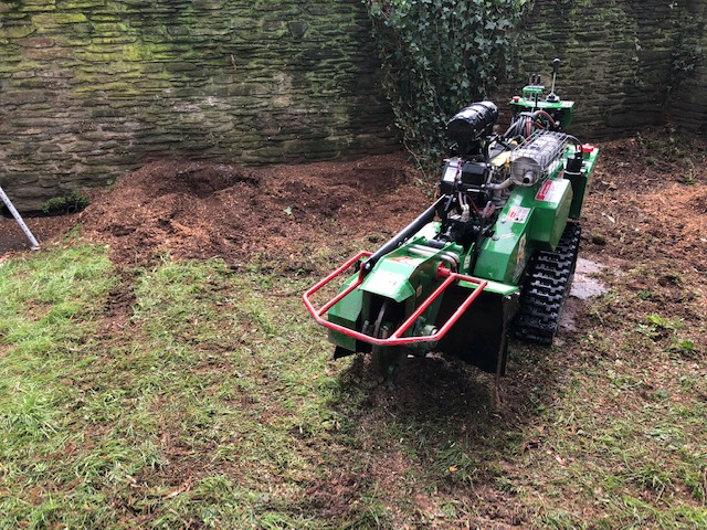 Tree Stump Grinding Plymouth & Tree Stump Removal Plymouth