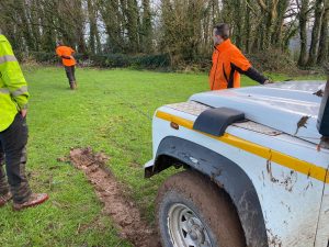 stump grinding yealmpton