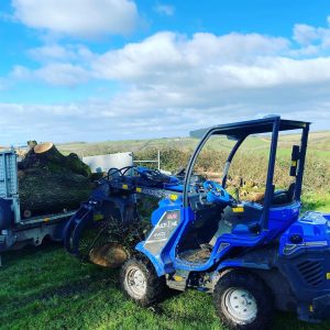 garden clearance yelverton