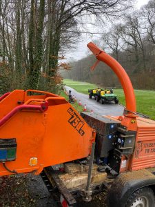 stump grinding near me