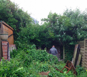 garden clearances ivybridge