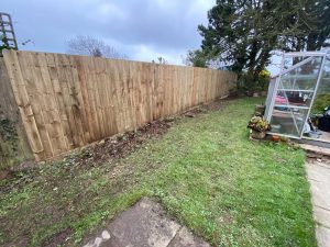 fencing tavistock