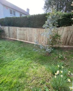 close board fencing tavistock