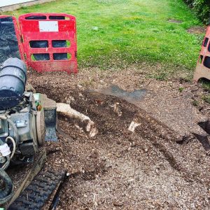 stump removal saltash