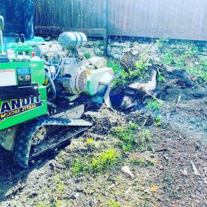 stump removal princetown