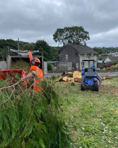 garden clearances whitleigh