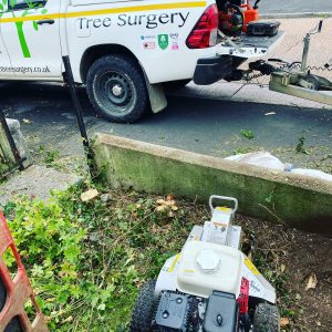 stump removal whitleigh