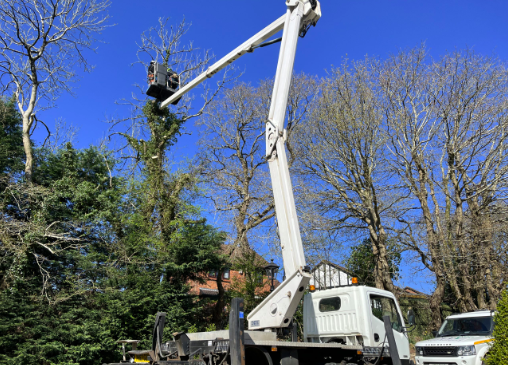 cherry picker hire in plymouth